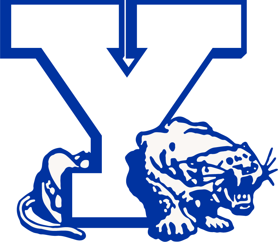 Brigham Young Cougars 1972-1982 Secondary Logo diy iron on heat transfer